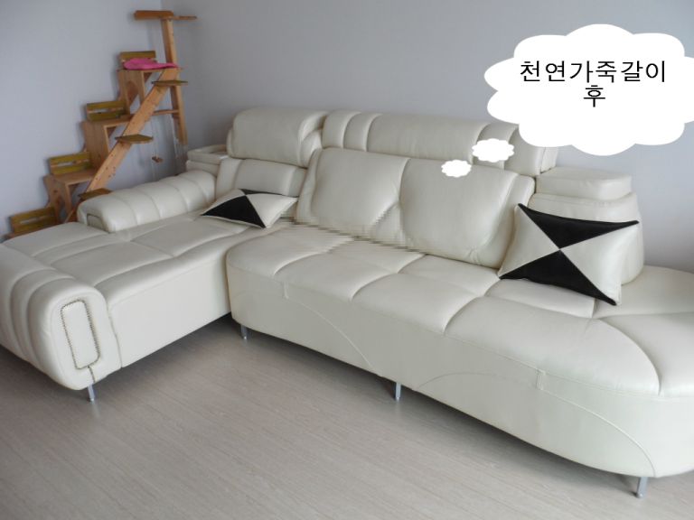울산 신정 푸르지오 고객님 천연가죽갈이 전,후